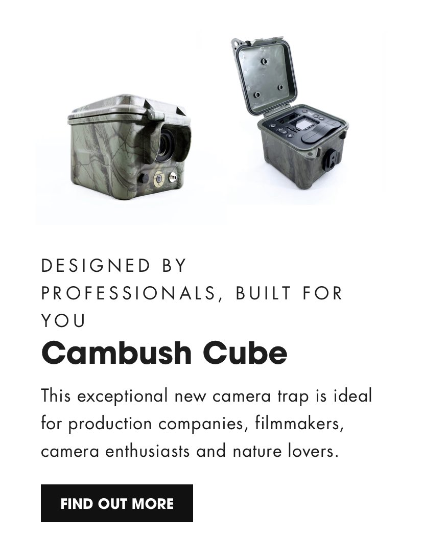 Nick Guy tweet media