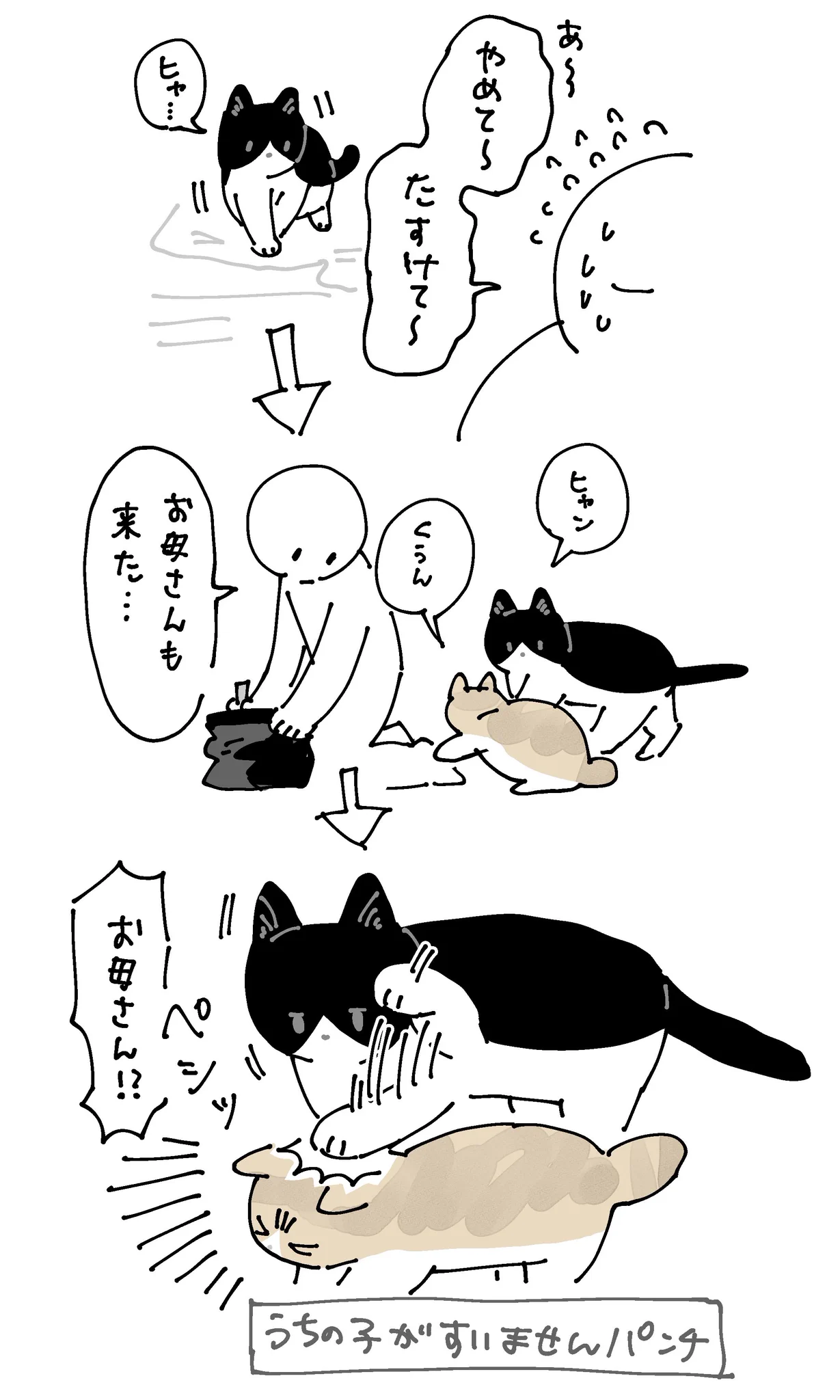 ノラネコさん親子を保護したら！子猫がお母さんの真似をしている！