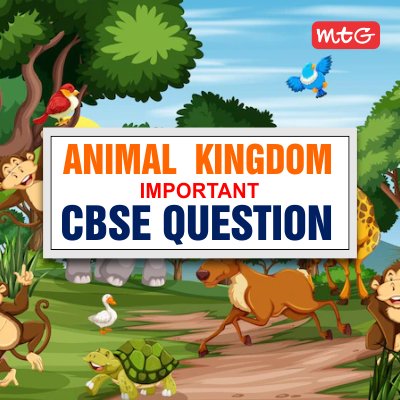 MTGBooks's tweet photo. Get access to important questions on #animalkingdom for #class11 exams 
Access it here- https://t.co/SmkgaaJfWR
#neetpreparation #cbsepreparation #cbse #cbsenotes #neetandaiims #neetexam #neetug #neetbiology #neettipsandtricks  #notes #studynotes #biologynotes https://t.co/BBe1asW8aj