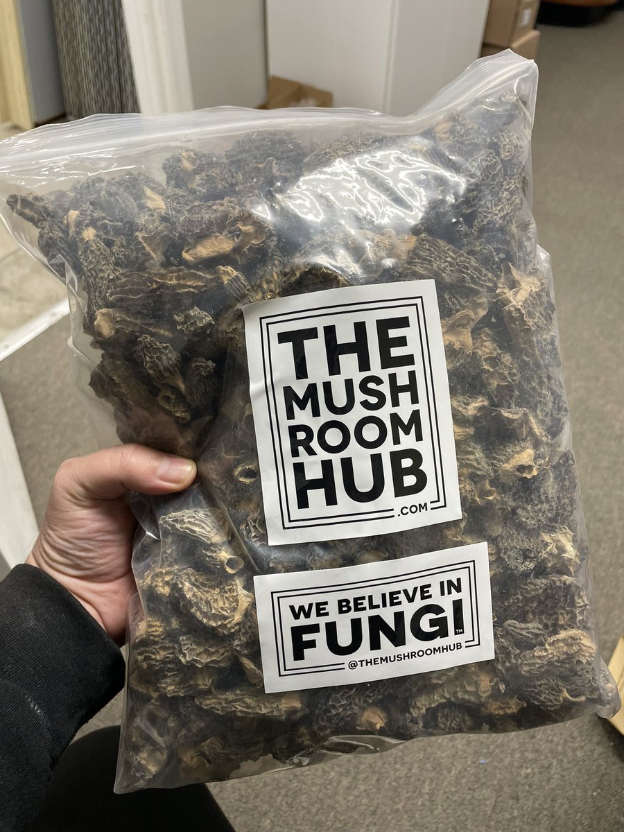 Wholesale or retail #mushrooms, we got you. Stop by any one of our <a href="/TheMushroomHub/">The Mushroom Hub</a> locations and pickup some deliciousness. #fungi