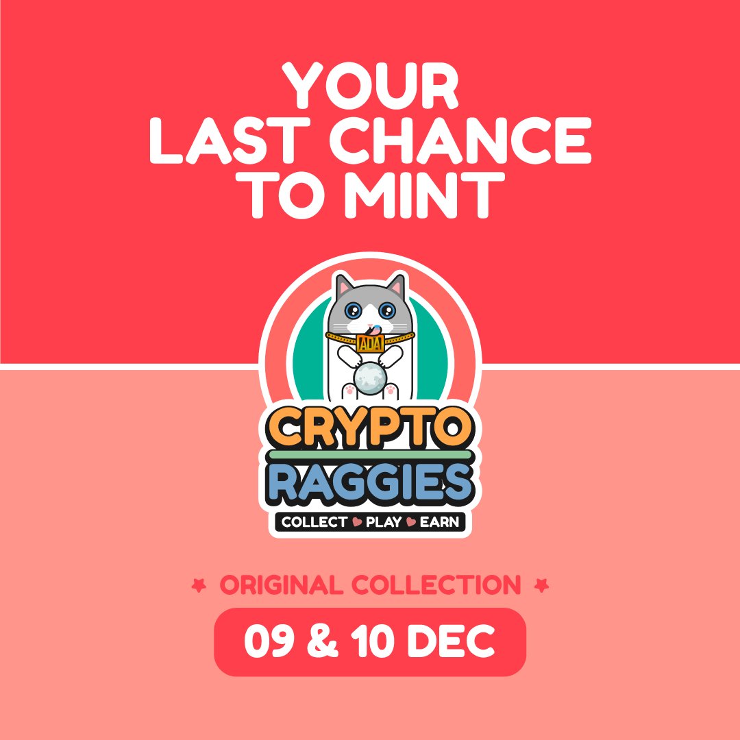 CryptoRaggies's tweet photo. The cat is outta the bag!😸 9th Dec is when our last mint starts! 24h WL mint on the 9th, then public mint begins on the 10th! These are the final days to mint some of our CryptoRaggies Original Collection #NFTs! https://t.co/y0IBbkzMwz