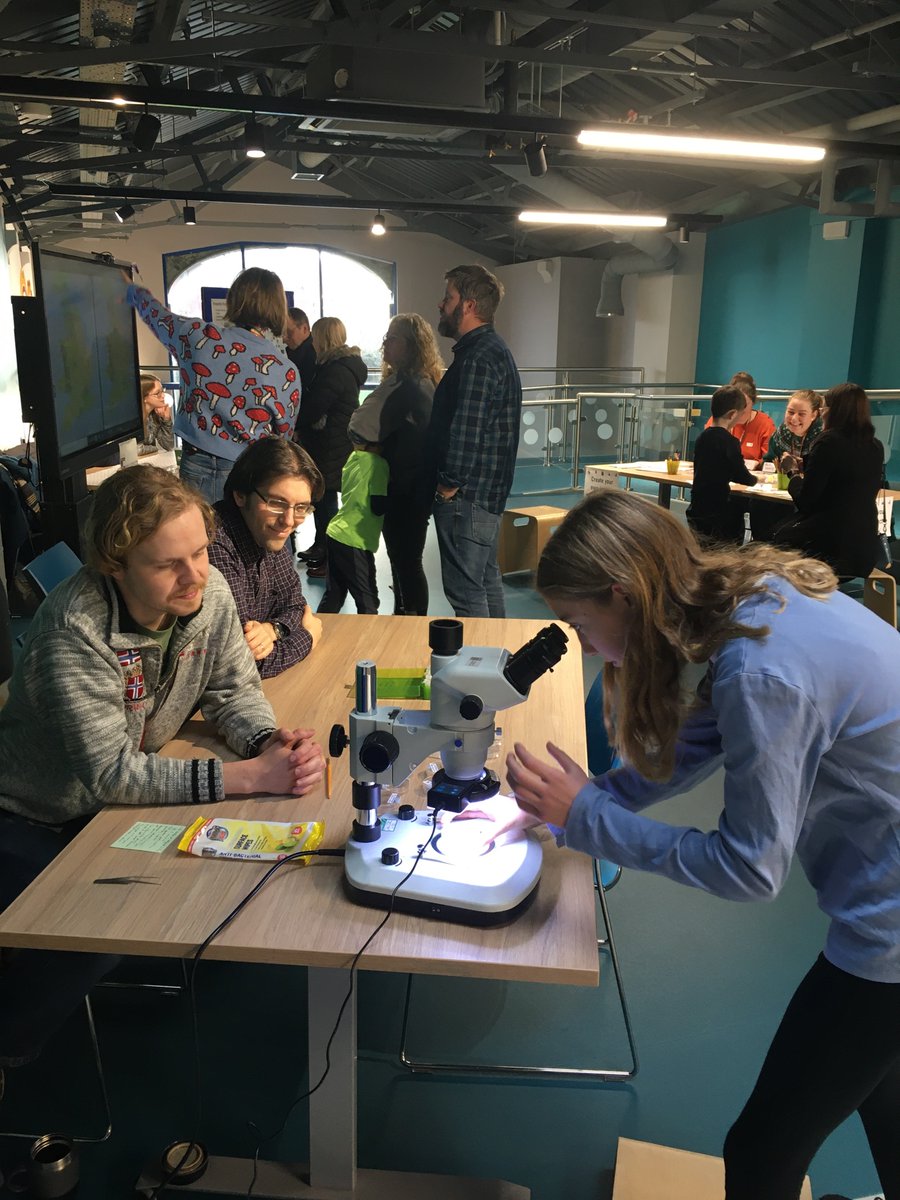 Lancaster_LT's tweet photo. Big congratulations to @mccaw_beth for coordinating this awesome exhibit at @ernscot showcasing research in our group! @UoABioSci @AberdeenSci https://t.co/OaeCjQWp9E