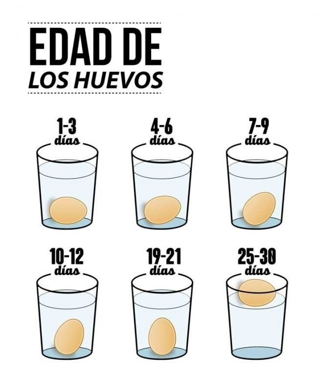 pepita_mango's tweet photo. #TweetArmonioso #TweetCariñosito 🥰 #AzúcarFloresYMuchosColores 💖 #TwitterSinOdio 💞 #ConejitosSabiosDicen 🐇 🐇 #SecretosDeLaAbuelita 🧓 #Sábado #Saturday #Dic2022 #Dic3 https://t.co/CLVEaXAABj