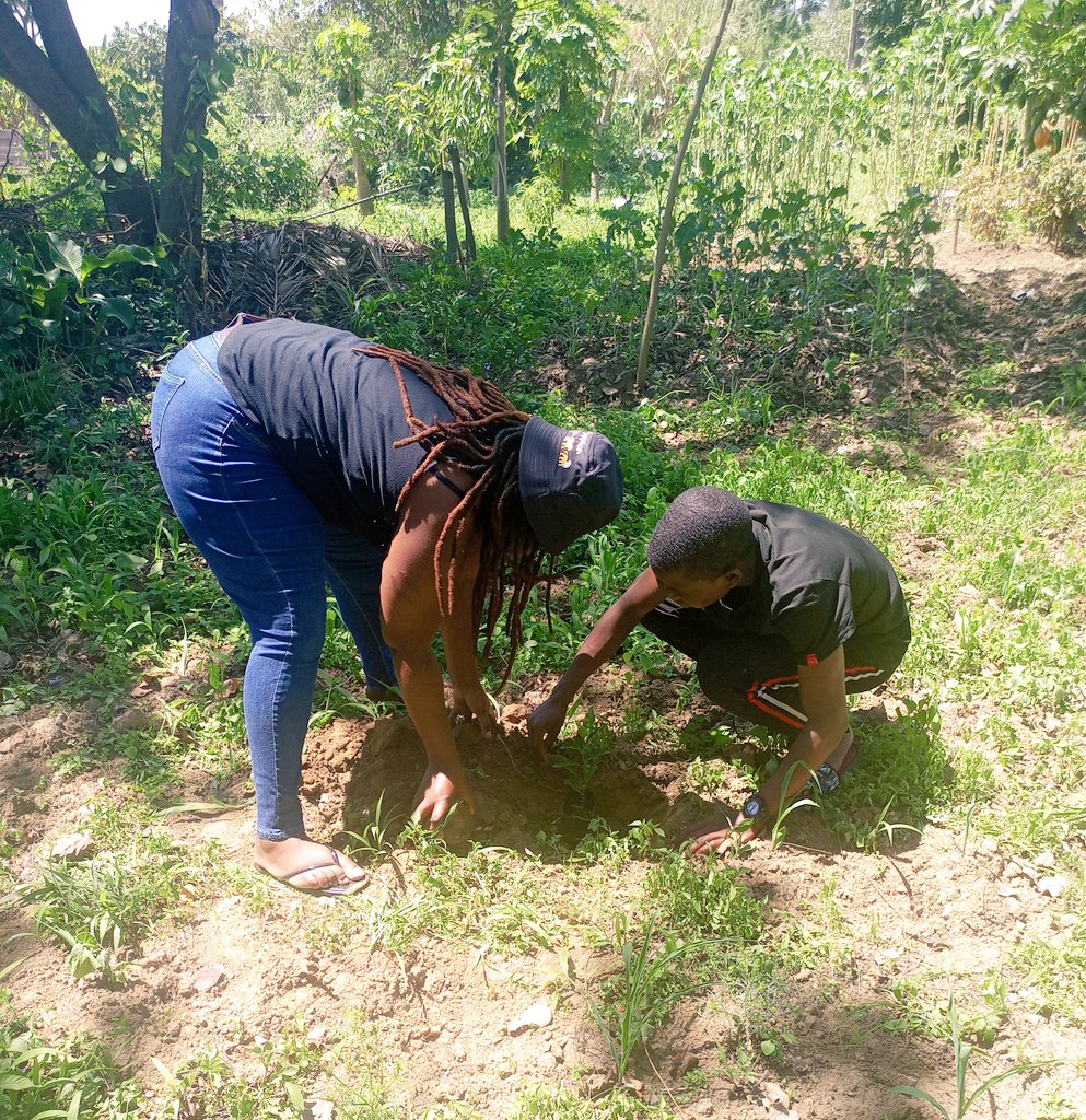 Linda Tsungirirai Masarira on Twitter "Today is National Tree Planting