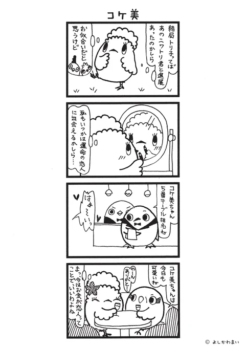 コケ美 