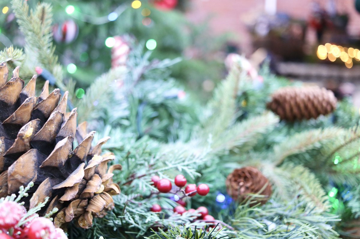 Mrs Geist tweet media