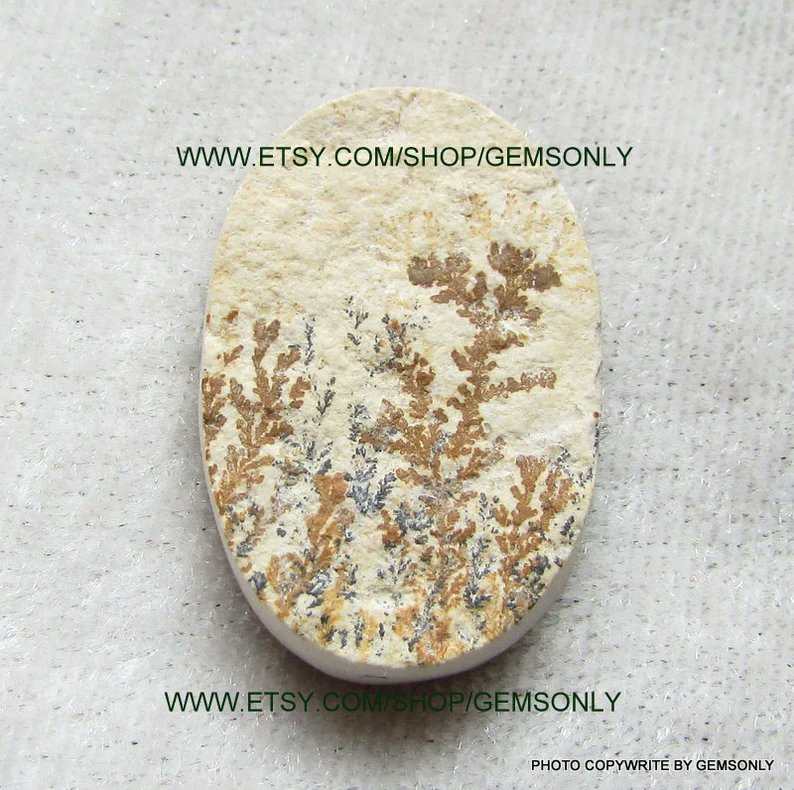BhalaGaurang's tweet photo. 1pc NATURAL Leaf jasper 18x27mm natural carven on surface natural polish oval shape loose cabochon good natural leaf drawing self original #cabochon #etsy #surface #natural #leafjasper #labradorite #twitter #good #gemstones #chabochons #NaturePhotography https://t.co/A03j0SO25E