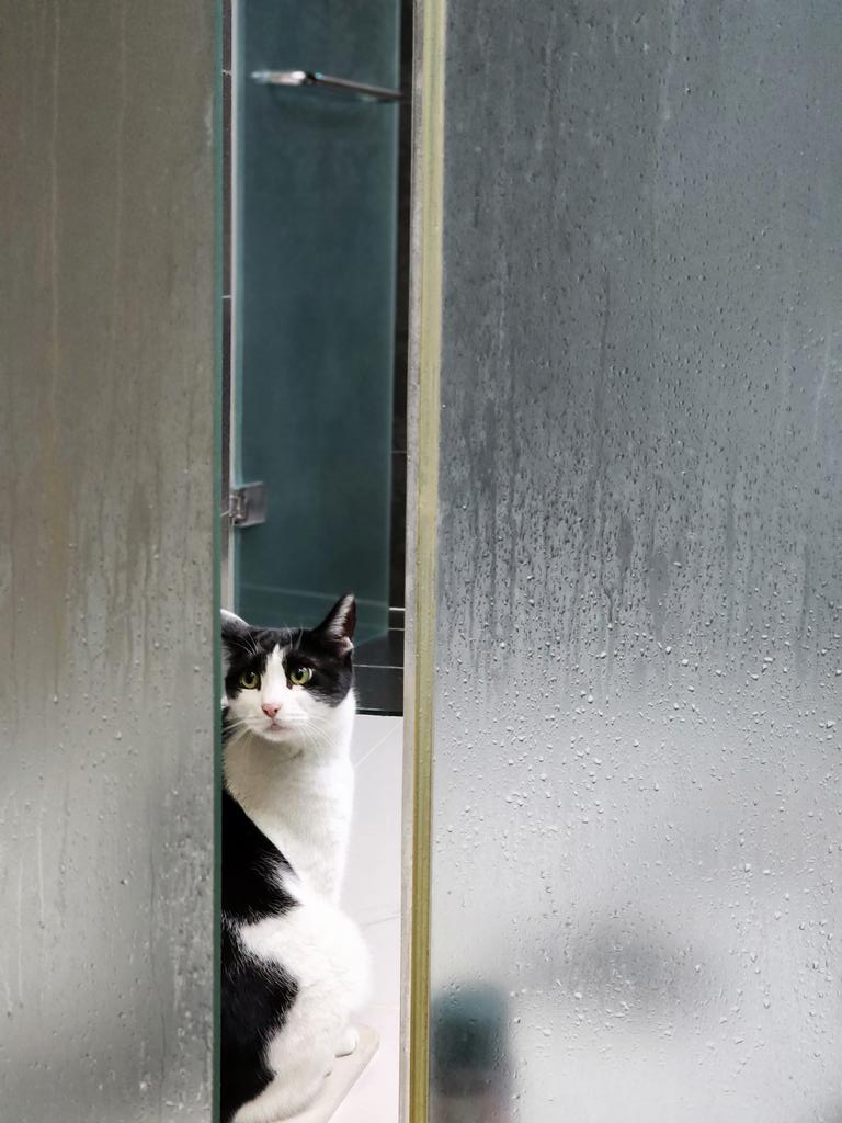 내가 목욕하는 게 불만인 루시. 1시간 넘게 욕실에 있어도 문앞을 떠나지 않고 지킨다.