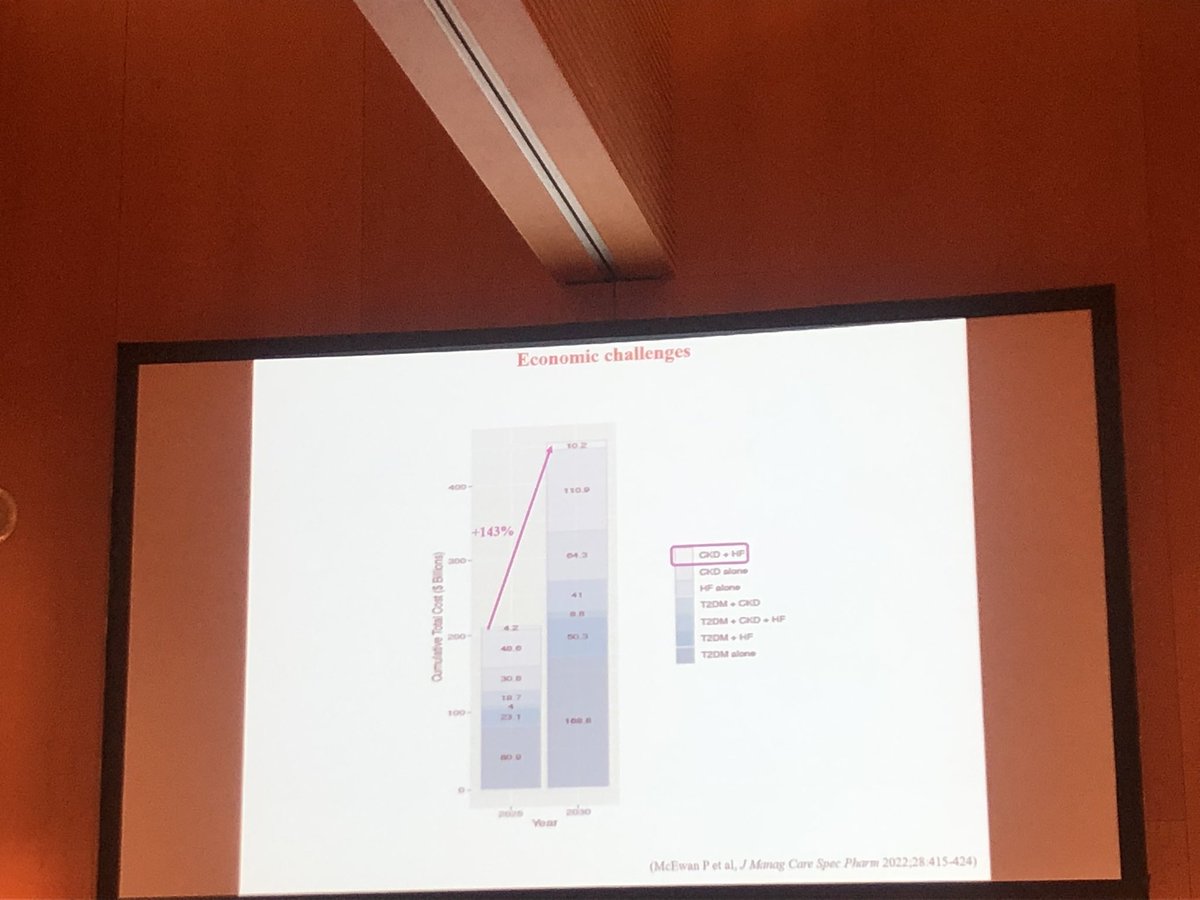Tubulocentric's tweet photo. Wonderful lecture by Prof. Javier Diez about the urgen need for specific training in #CardioNephrology or #NephroCardiology #PNU2022 @SENefrologia @CardioRenalSEC @HDSEN2 @PNephrology @senjoven https://t.co/lYbIMUktoD