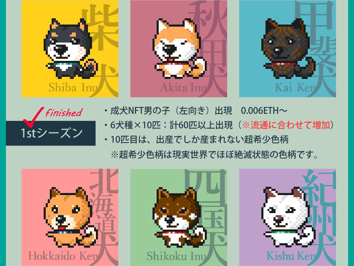 べべ｜日本犬NFT、寄付15ヶ月継続 tweet media
