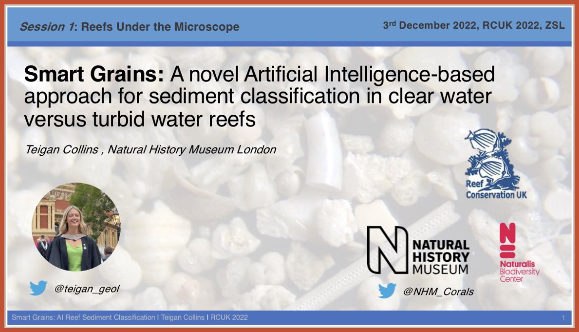 Teigan Collins tweet media