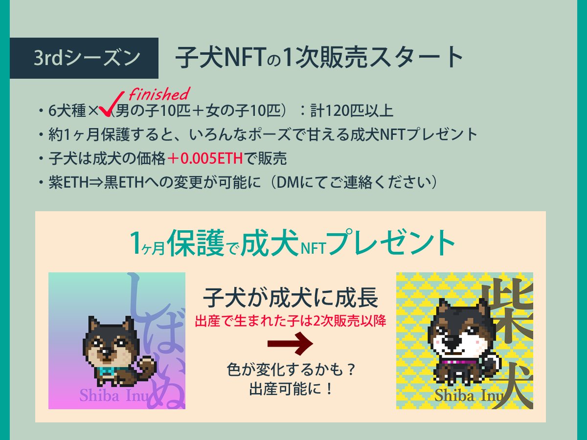 べべ｜日本犬NFT、寄付15ヶ月継続 (@BebeJapan9) / X