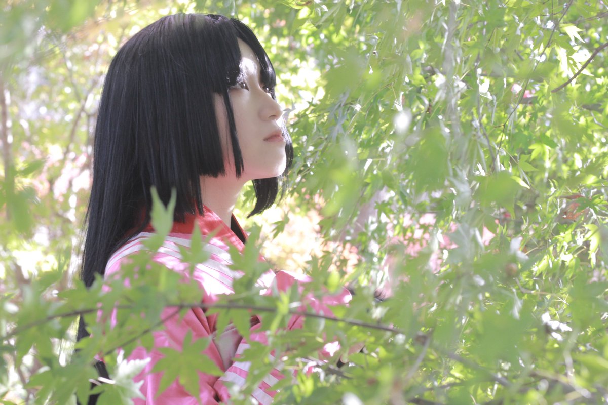 もみじ🍁 tweet media