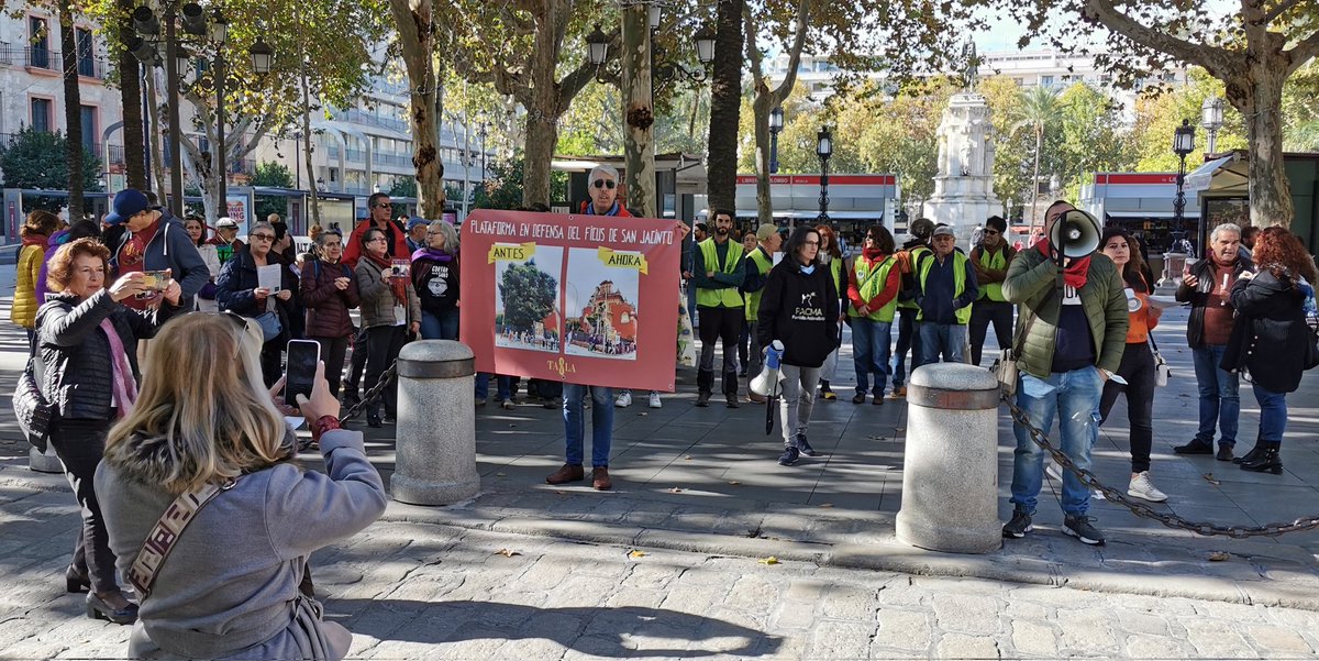 En la concentración de Plaza Nueva estamos, haciendo ruido, defendiendo al #ficus de San Jacinto y al arbolado de Sevilla bajo el talante arboricida y el desprecio del <a href="/Ayto_Sevilla/">Ayuntamiento de Sevilla</a>, bajo la batuta del "sensible"<a href="/antoniomunozsev/">Antonio Muñoz</a> y su "consejero de carreritas" <a href="/guevara_dg/">David Guevara García</a>.