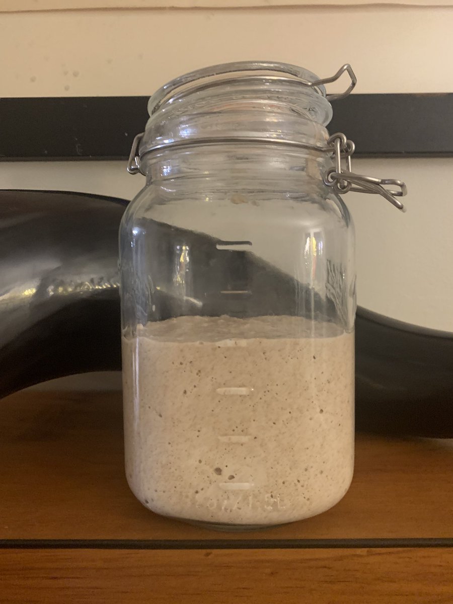 Big day today.  Double loaf.  Aunt Linda is wide awake and cranking! #sourdough