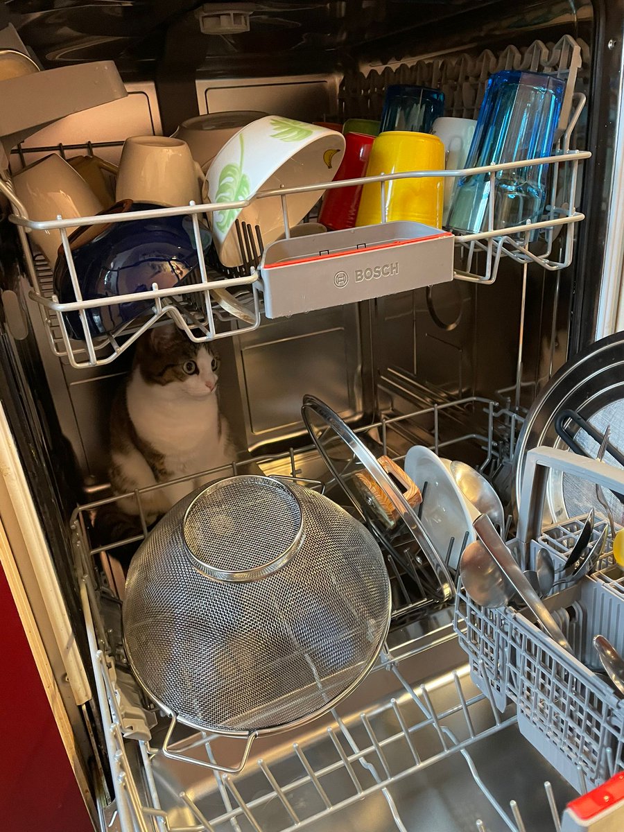 HopeNadeshda's tweet photo. Suchbild. Was gehört hier nicht hinein? https://t.co/o98thR3tps