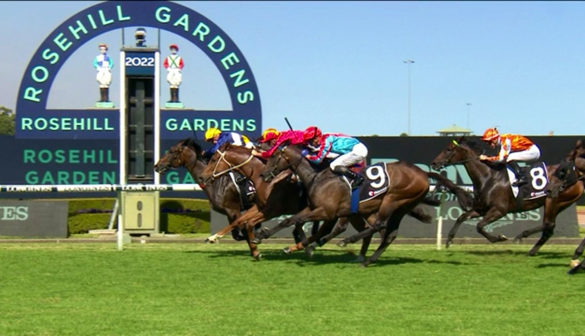 RichardBusso's tweet photo. Vreneli has a gutsy win today @rosehillgardens thanks to the team at @GaiWaterhouse1 and @FirstLight_FLR https://t.co/3QVdXEgqWV