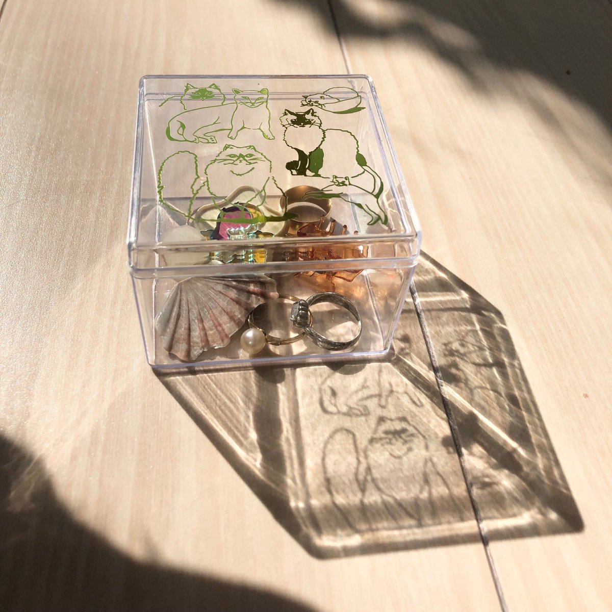 ã«ãã³ååºïŒã«ãã³ã¢ã€ã/kanekoayano STAFFïŒ on X: ã«ãã³ååºïŒã«ãã³ã¢ã€ã/kanekoayano STAFFïŒ on X: