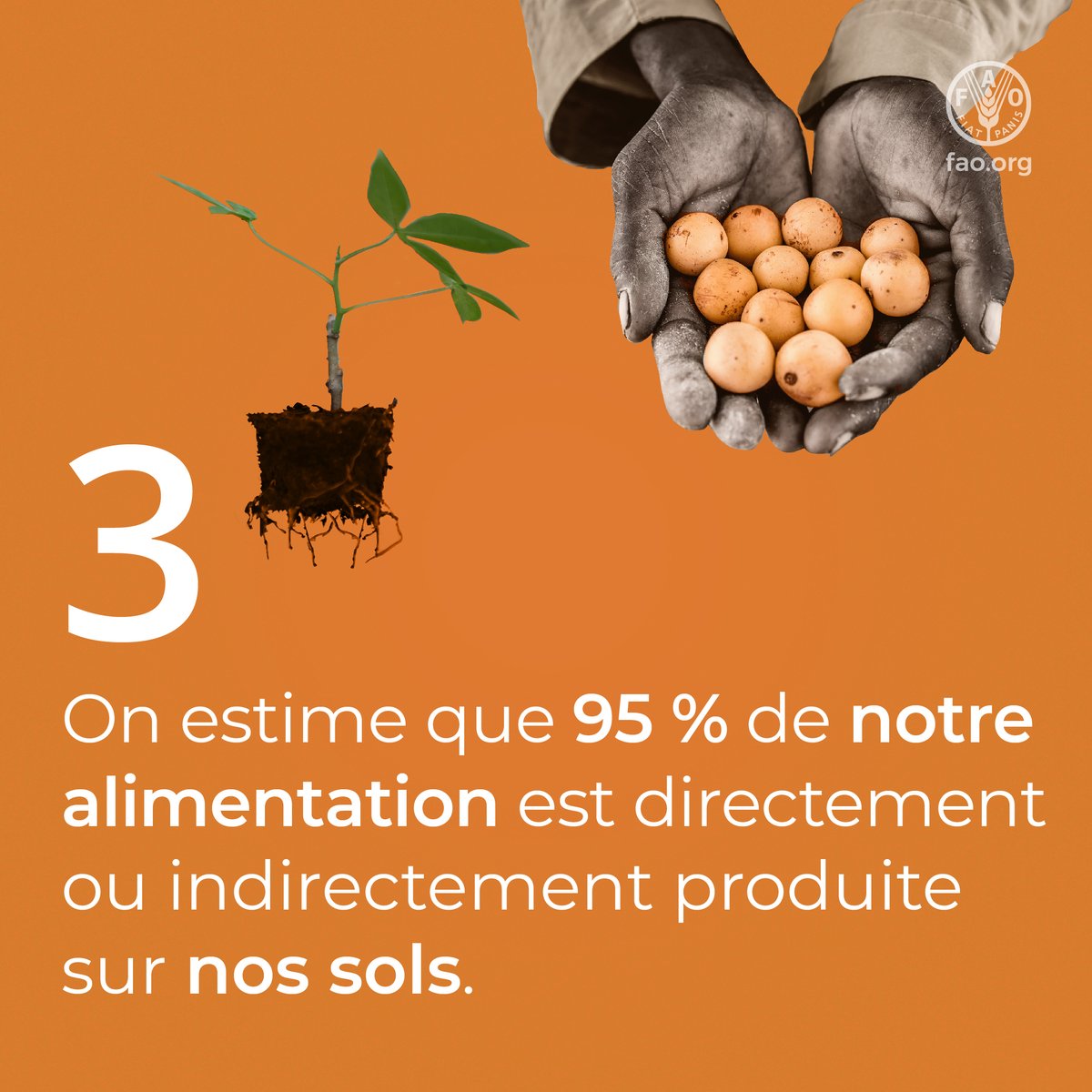 ONU_fr's tweet photo. Une gestion durable des sols aide à :

➡️ restaurer les terres dégradées 🌱
➡️ préserver la biodiversité 🍄
➡️ améliorer la sécurité alimentaire 🍲

Le 5 décembre est la #JournéeMondialedesSols. Apprenez-en plus, via la @FAOenfrancais 👇