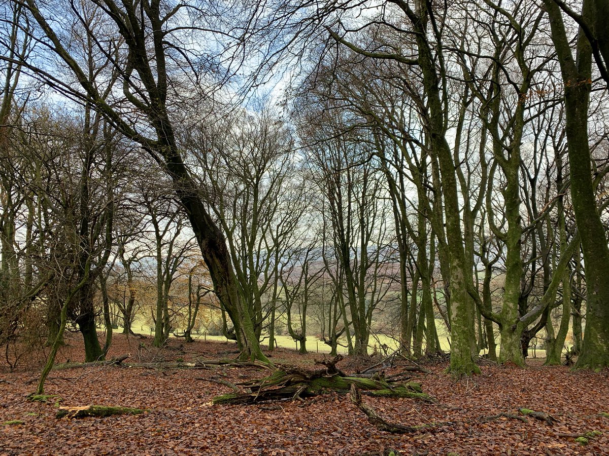 elanagwen's tweet photo. Cefn Onn #lovethediff https://t.co/G6w6UXMYkP