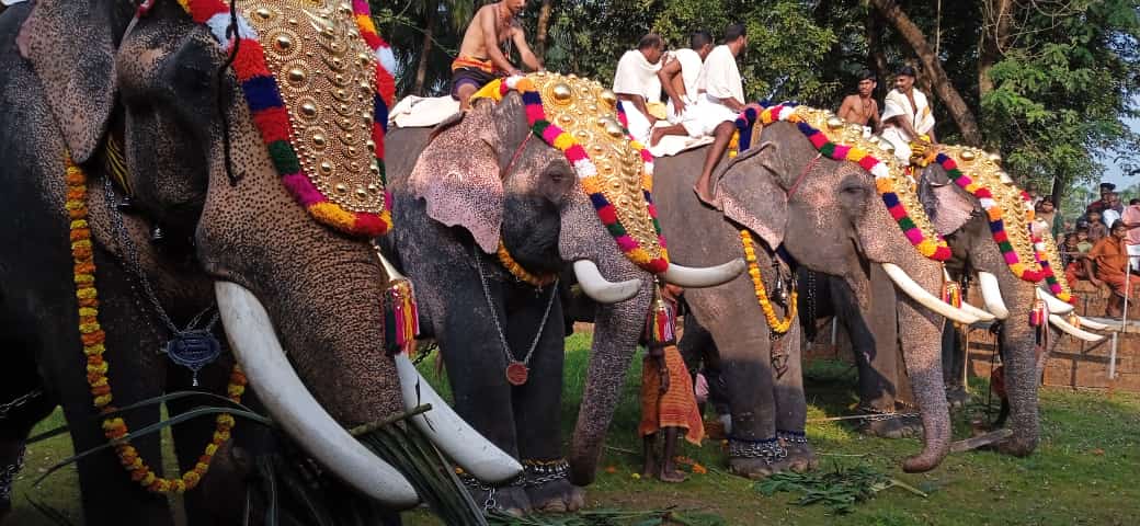 ಚೆರುಕುಡಂಗಾಡ್  ಶ್ರೀ ಇರಟ್ಟಪ್ಪನ್ ಮಹಾದೇವ ಕ್ಷೇತ್ರದಲ್ಲಿ ಗುರುಗಳಿಗೆ ಸ್ವಾಗತ