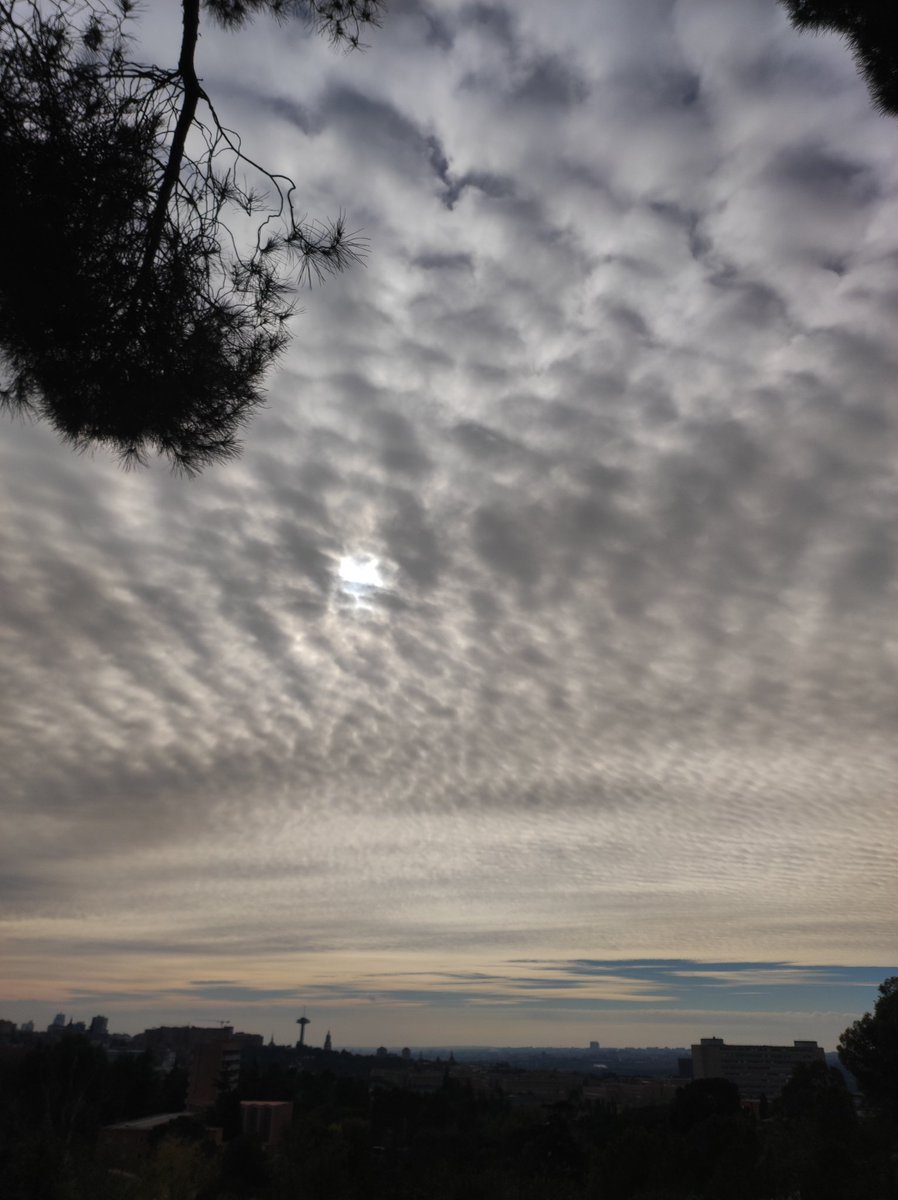 LaraC_03's tweet photo. Madrid esta mañana @tiempobrasero https://t.co/TvTEmf2dK0
