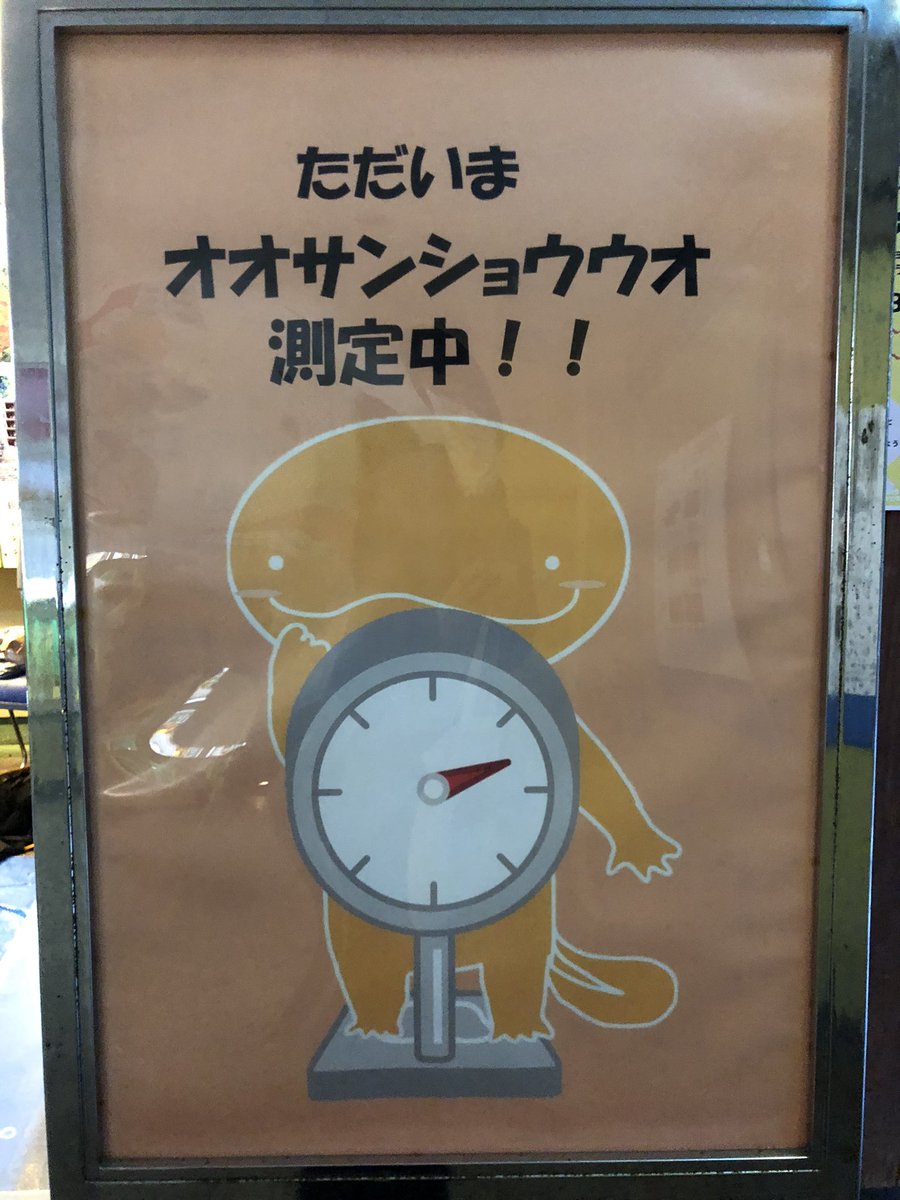 yuichoco1 tweet picture