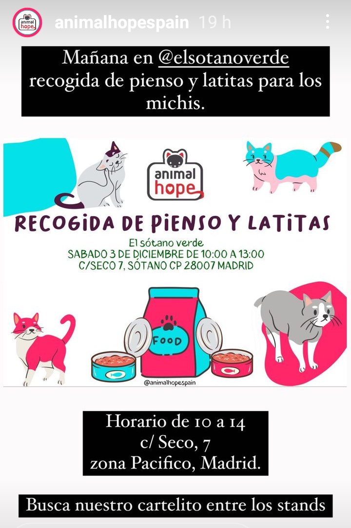 Animalhopespain's tweet photo. https://t.co/Yocb3IVJHo