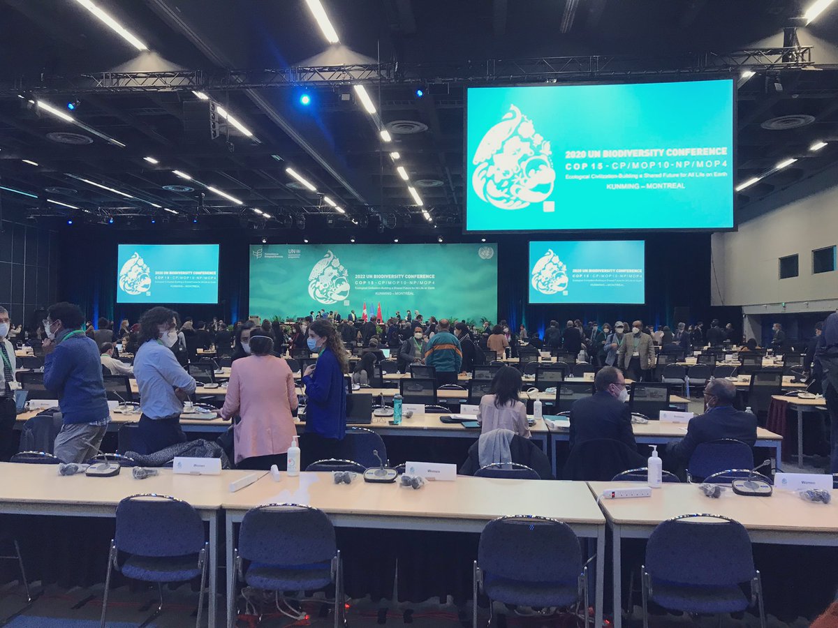 Delegates are gathering for the opening #plenary session of the fifth meeting of the open ended working group on the #post2020 global #biodiversity framework. 🍃🪴

#COP15 #ForNature