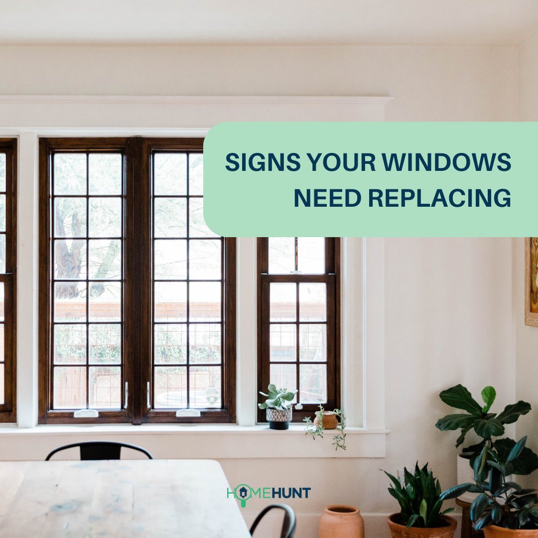 beahomehunter's tweet image. Some indicators your windows need replacing: 

1. They&apos;re already damaged 
2. You notice condensation 
3. You hear more noise 
4. You feel a draft If you&apos;ve noticed any of these signs, you may need to consult with a window company for a replacement. 

#homehunt #beahomehunter