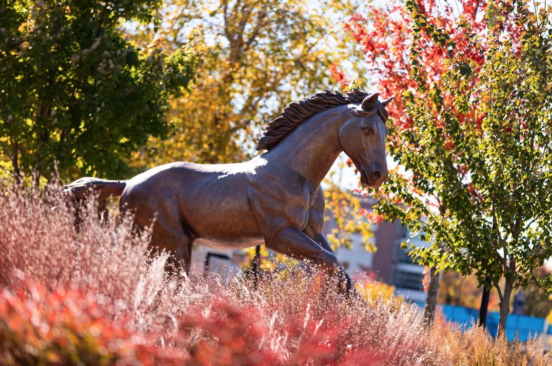 UNewHaven's tweet photo. The vibrant #UNewHaven campus! Have a great weekend, Chargers. #ChargeHome #ChargerNation https://t.co/mk9IRamYPW