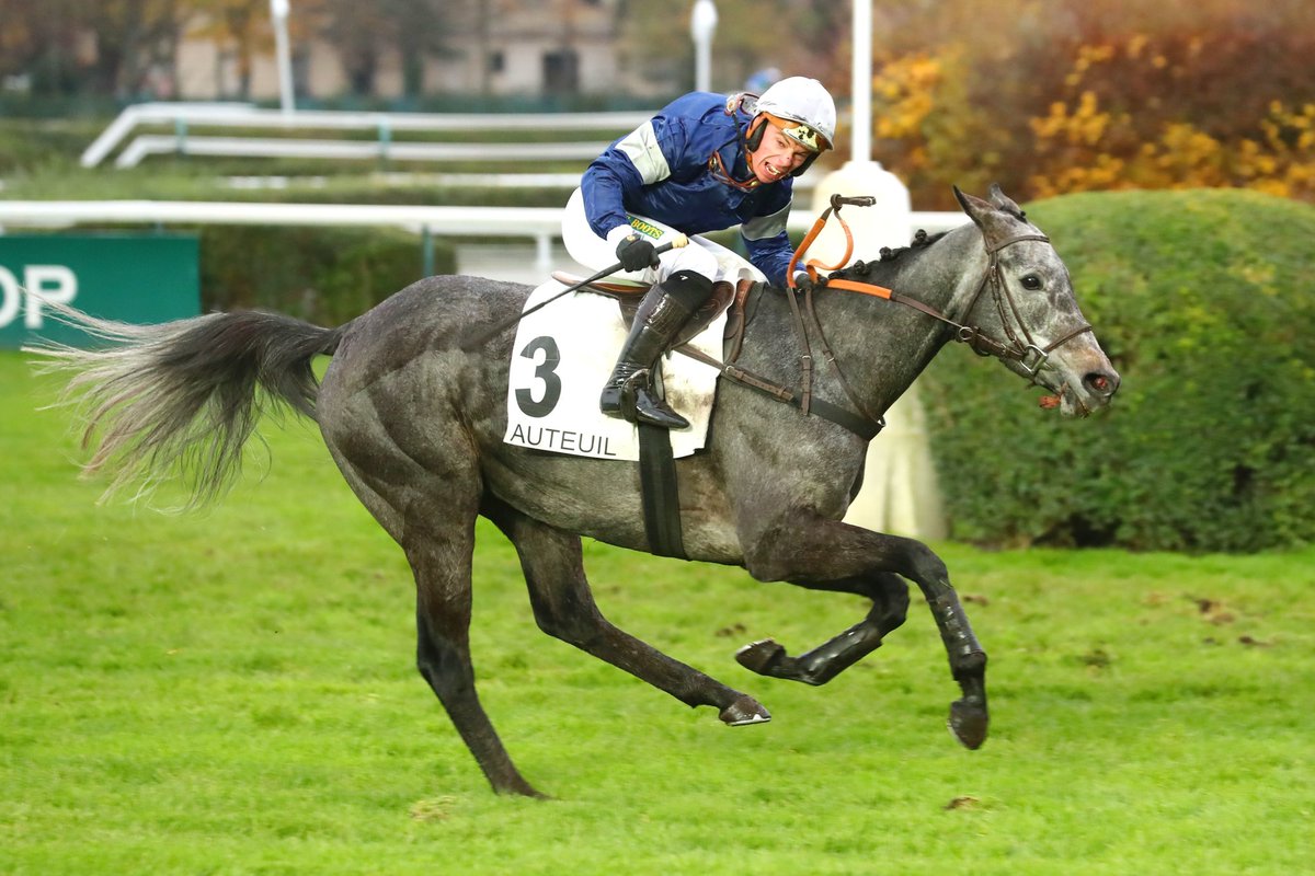 Aujourd’hui à @Hippo_Auteuil 🥇🏆 𝐋𝐚 𝐌𝐚𝐧𝐢𝐠𝐚𝐧𝐜𝐞 s’impose avec @angelozuliani pour l’entraînement de @EcurieNicolle 📷 Scoopdyga.com