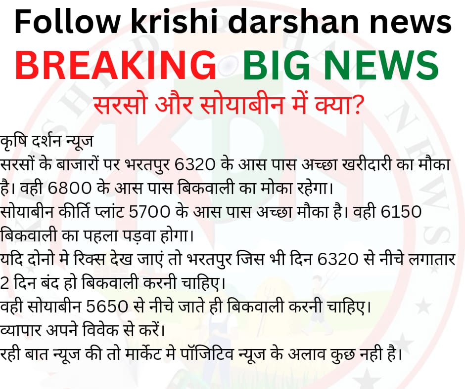 krishidarshan_'s tweet photo. Viwe about #soayben #mustered
#Sarso #सरसों #सोयाबीन https://t.co/aZdThv038y