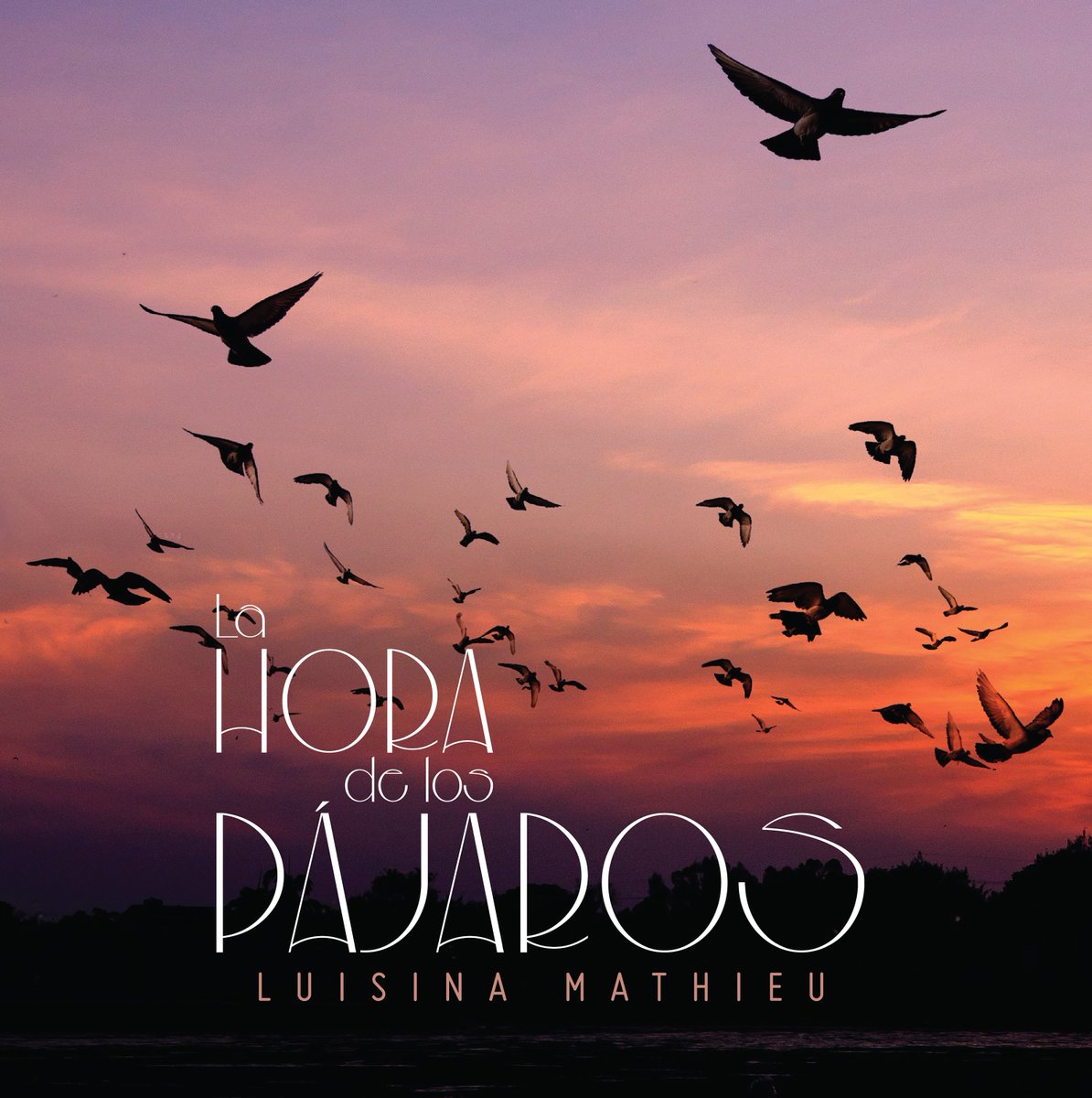 LuisiMathieu's tweet image. Nuevo sencillo disponible en @SpotifyARG  LA HORA DE LOS PÁJAROS  de mi autoría. ¿Ya la escucharon?