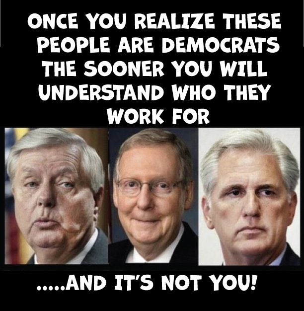 Squirrel Mama (@squill_mama) on Twitter photo 