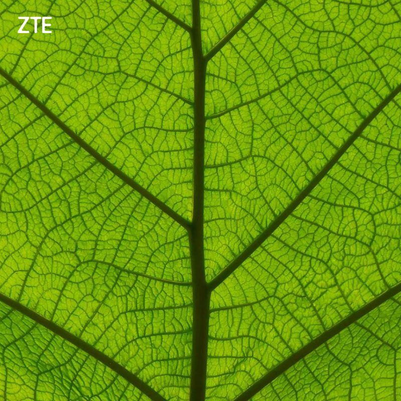 ZTEDevice's tweet photo. 1,2, or 3? Pick your favorite👇
#ShotOnZTE Axon 40 Pro📱
#ZTE #Axon40Pro #AxonSeries #ZTECreators