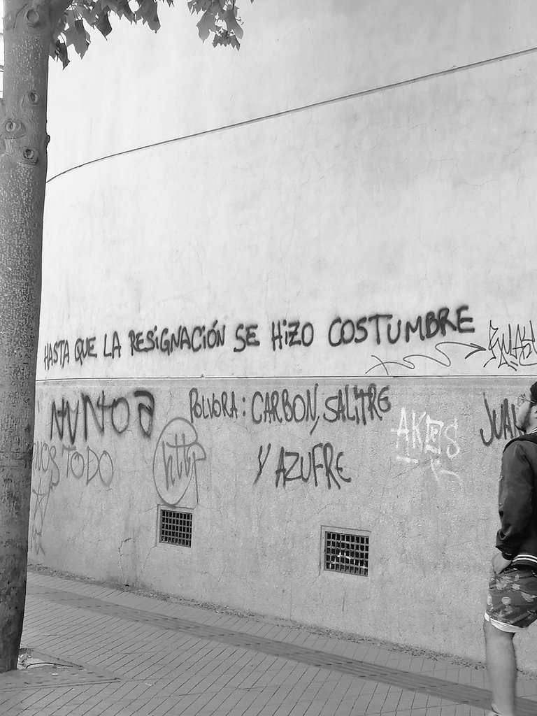 simplementePi's tweet image. ...