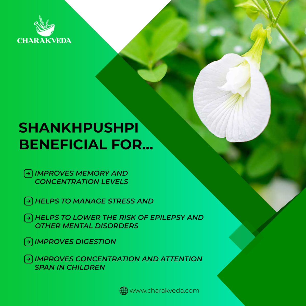 Shankhpushpi is a perennial herb that is used for its medicinal benefits. It improves mental health and might help in managing depression due to its antidepressant activity. .
.
.
.
Visit: charakveda.com
.
.
.
#ayurveda #mentalhealth #improvedigestion #improvememory