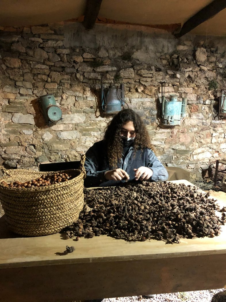 masiacastello's tweet photo. 💕Aprofitem per agraïr al jovent que agafa el relleu de l'escena de peladores d'avellanes i a la colla del garrofer que l'ha fet durant molts anys! 

#25anysPessebredelsEstels  #PassatiPresent  #Pessebre #MasiadeCastelló  #Vinealpessebre #Vineacastelló #Pessebres https://t.co/blw14ZQ8fH