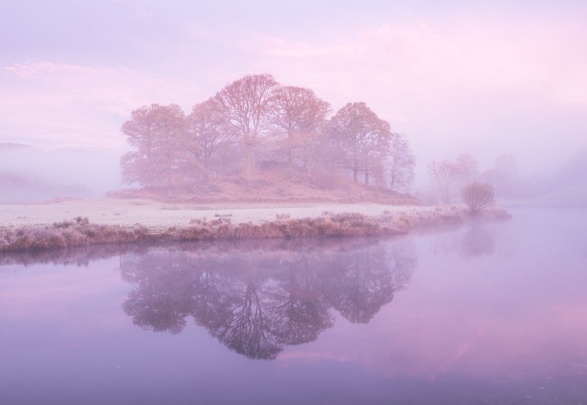 nigeldanson's tweet photo. Looking back to 2017 and one of the best mornings I have ever had in photography... It doesn't get better than this! https://t.co/oapZHbixBe