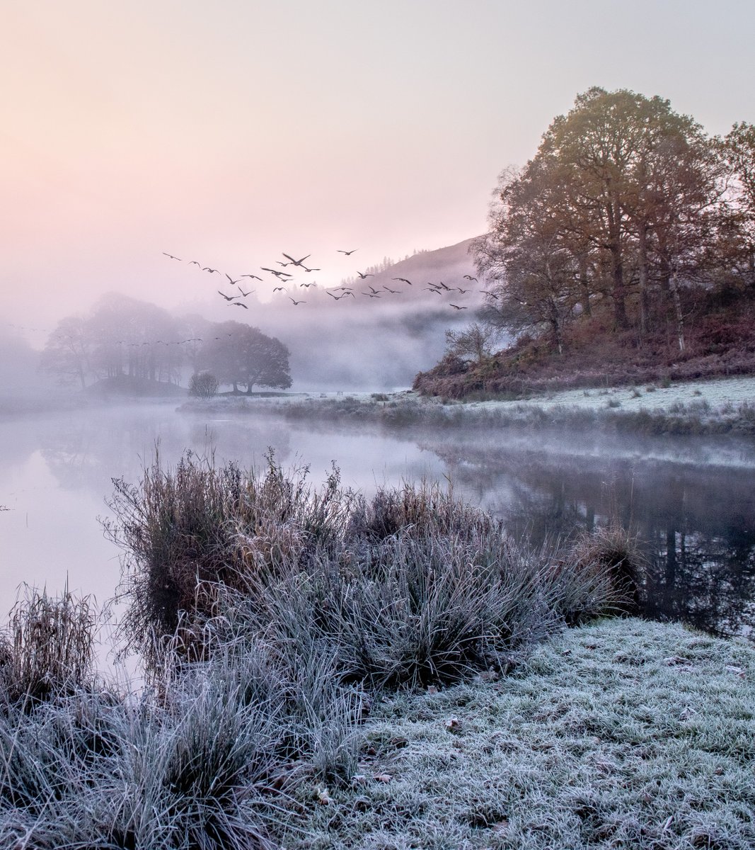 nigeldanson's tweet photo. Looking back to 2017 and one of the best mornings I have ever had in photography... It doesn't get better than this! https://t.co/oapZHbixBe