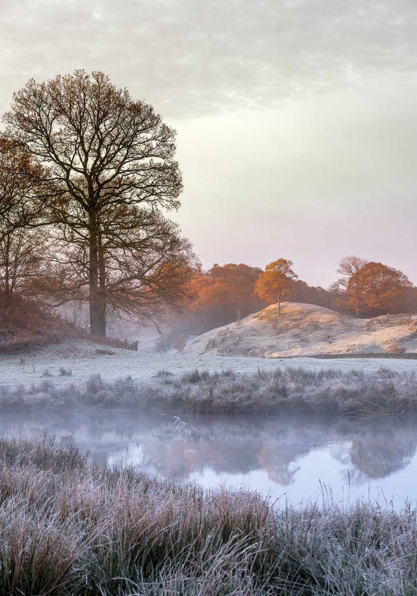 nigeldanson's tweet photo. Looking back to 2017 and one of the best mornings I have ever had in photography... It doesn't get better than this! https://t.co/oapZHbixBe