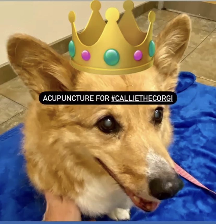 Dr. Kay Sellers-Carte tweet media