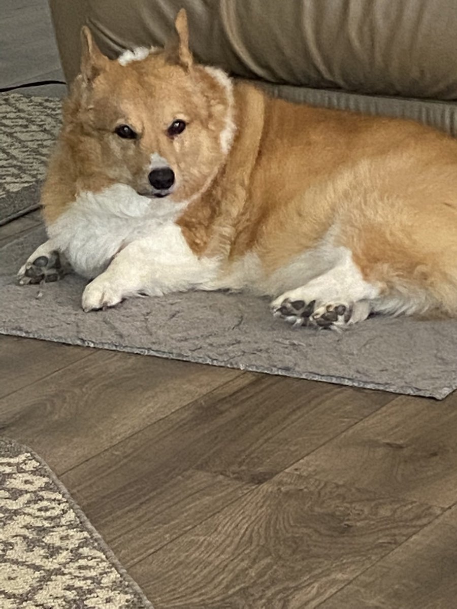 Dr. Kay Sellers-Carte tweet media