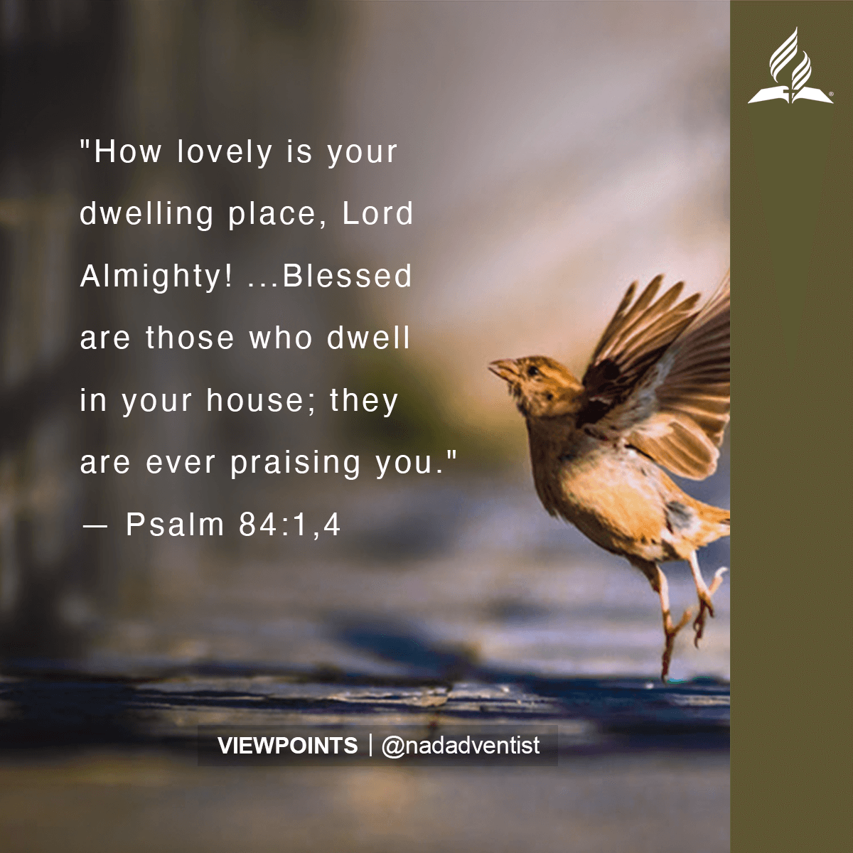 NADadventist's tweet photo. "Even the sparrow has found a home, and the swallow a nest for herself, where she may have her young— a place near your altar, Lord Almighty, my King and my God. Blessed are those who dwell in your house; they are ever praising you."
— Psalm 84

Subscribe: https://t.co/F6KxoWuq6I https://t.co/0WC9OzwPil