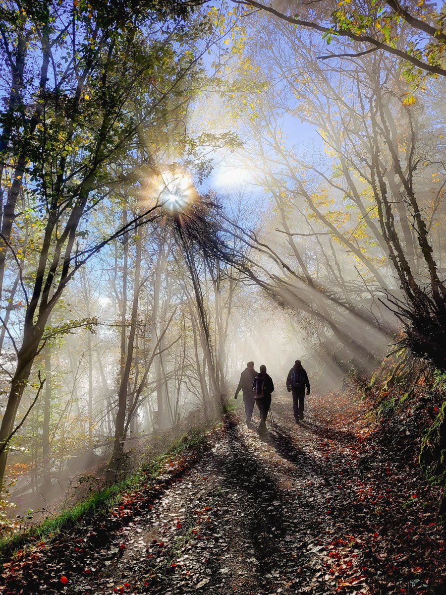 Der "Jahresrückblog" ist viel mehr als ein Jahresrückblick. Und das kann ich erst jetzt, nämlich 12 Monate später, sagen.😊

2021 gaben wir dem neuen Jahr ganz zum Schluss ein Motto und formulierten Ziele.

Mein Motto für 2022 lautete:
Leichtigkeit &amp; Magie!🪄

#jahresrückblog22