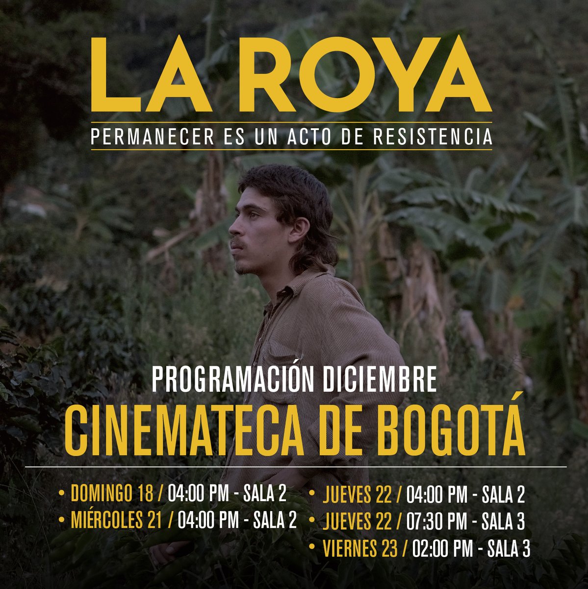 Monociclo Cine tweet media