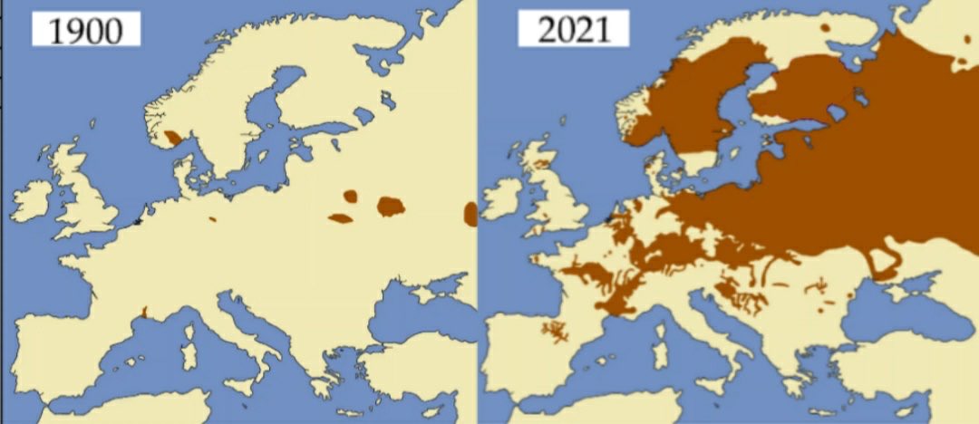 xruiztru's tweet photo. Beavers in Europe, 1900 and 2021. https://t.co/af5ieaEUQE