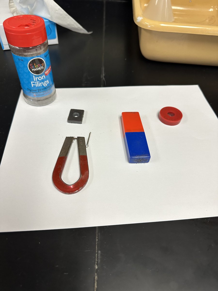 This week in 7th Grade Science, our young scientists learned how magnetism works and how we utilize it in many everyday applications.  We ended our week with an engaging lab that allowed students to witness and analyze the invisible magnetic fields by using iron shavings.