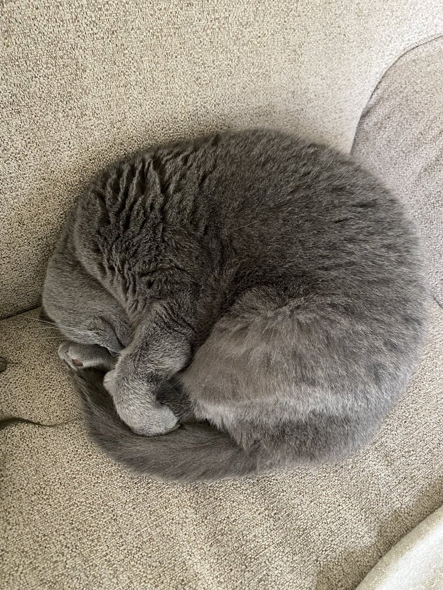 <a href="/JustTofunim/">Tofunim</a> <a href="/froxinite/">ʕ⁎̯͡⁎ʔ༄ lexotan</a> cat